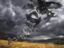 David Gilmour - Rattle That Lock