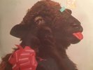 Funkadelic Greatest Hits Westbound Sealed Parliament George Clinton