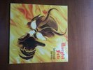 Mercyful Fate, Don't break the oath LP