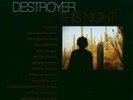 This Night [VINYL] Destroyer Vinyl
