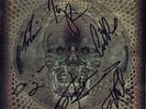AMORPHIS Queen of Time FULLY SIGNED Vinyl LP - Tomi Joutsen Holopainen AUTOGRAPH