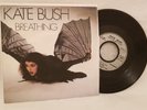 Kate Bush 7