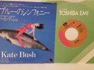 Kate Bush 7