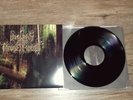Wolves In The Throne Room - Malevolent Grain Agalloch Darkthrone Deafheaven 