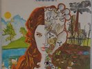 ECOLOGY: Environment / Evolution HAPPY TIGER Psych Folk Vinyl LP