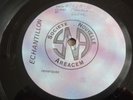 A FLOCK OF SEAGULLS RARE FRENCH TEST PRESSING 1984 THE STORY OF A YOUNG HEART