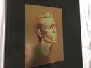 Robbie Williams Take The Crown Stadium Tour 2013 Programme Brochure