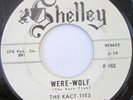 THE KACT-TIES Were-Wolf 45 SHELLEY 163 DOO-WOP EX MINT-
