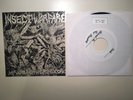 Insect Warfare At War with Grindcore 7