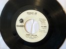 TERRY CALLIER: Ordinary Joe 45 on Cadet