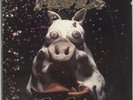 Pork Soda Primus 2-LP vinyl record (Double Album) USA 772738-1 PRAWN SONG 1993