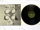 SATIN WHALE - DESERT PLACES / MINT- / 1st PRESS GREEN BRAIN  / Kraut Prog Psych