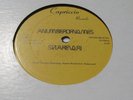 A NUMBER OF NAMES SHAREVARI CAPRICCIO P-928-1 Stereo (NM),Orig. Detroit Archer