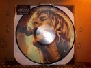 Nirvana Live On Air Picture Disk Factory New Record LP Album Vinyl 235
