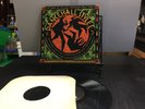 8 LP's of classic Reggae Yellowman, Ziggy Marley, Steel Pulse, Peter Tosh, More
