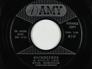 R&B Soul Popcorn 45 - Stan Robinson - Rhinoceros - Amy - mp3
