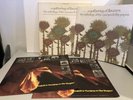 A Gathering of Flowers The Anthology of The Mamas and The Papas 2 Record Set