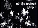 Forgotten Woods - As The Wolves Gather LP #G37644