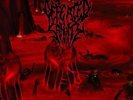 Defeated Sanity - Prelude To The Tragedy LP #111773