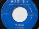 DELROY WILSON I’m Trying WARICKA REGGAE SIR COLLINS 45 Hear