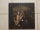 Wolves in the Throne Room Two Hunters 12