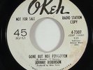 Johnny Robinson 