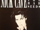 Nick Cave Bad Seeds Black Crow King 1987 