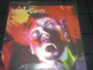 ALICE IN CHAINS  FACELIFT LP unplayed vinyl