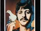 Beatles 