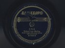 Blues 78 Bluebird 7440 Washboard Sam Robert Lee McCoy