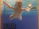 Nirvana Nevermind Picture Disc 4xLP Set #/1991 Vinyl Record Cobain Grohl