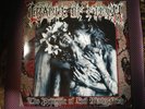 Cradle Of Filth ?– The Principle Of Evil Made Flesh Blue Vinyl Record LP Rare