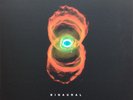 Pearl Jam ?– Binaural (2 x LP)