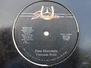 YAMI BOLO Free Mandela SKANGON Digi Roots Reggae 12