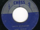 Bobby CHARLES later alligator 45 classic R&B MOD rock&roll POPCORN dancer HEAR ?