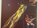 Bruce Springsteen You Better Not Touch LP California 1986