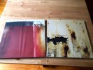 The Fragile [LP] by Nine Inch Nails AND THE DOWNWARD SPIRAL LOT