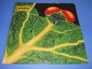 CATAPILLA - CHANGES  - nuovo
