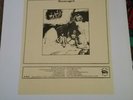 Rolling Stones - Stoneaged rare  LP not TMOQ
