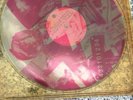 Talking Heads: Speaking In Tongues (Clear Brown Vinyl) - Rauschenberg Cover