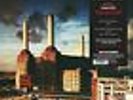 Animals von Pink Floyd (LP, Vinyl, Schallplatte, Progressive & Psychedelic Rock)