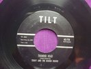 Teddy and The Rough Riders  Thunder head  Tomahawk  Killer instrumental 45  ??