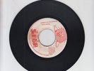 LIGHT OF SABA/ ANSWER TO THE PROBLEM - BINGI BROWN (70s REGGAE ROOTS 7