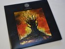 FISH / A FEAST OF CONSEQUENCES LP (MARILLION YES FLOYD PORCUPINE WILSON GENESIS)