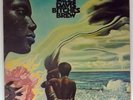 Miles Davis Bitches Brew Vinyl 2X Gatefold LP CBS 66236 (1970)