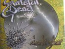 GRATEFUL DEAD - DARK STAR (PS) - WB