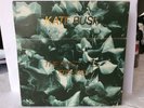 KATE BUSH The Single File Box Set (78-83) 12 Singles & 1 EP 7
