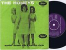 THE HONEYS Surfin' Down The Swanee River Danish 45PS 1963 Brian Wilson