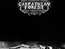 Carpathian Forest - Black Shining Leather LP