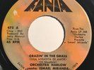 * ORCHESTRA HARLOW Grazin In The Grass/Contraria BOOGALOO SALSA Fania 45 Hear